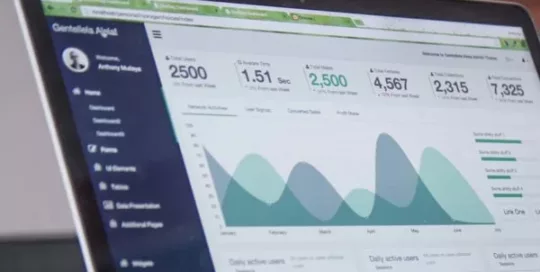 Screen of Data and Statistics Dashboard