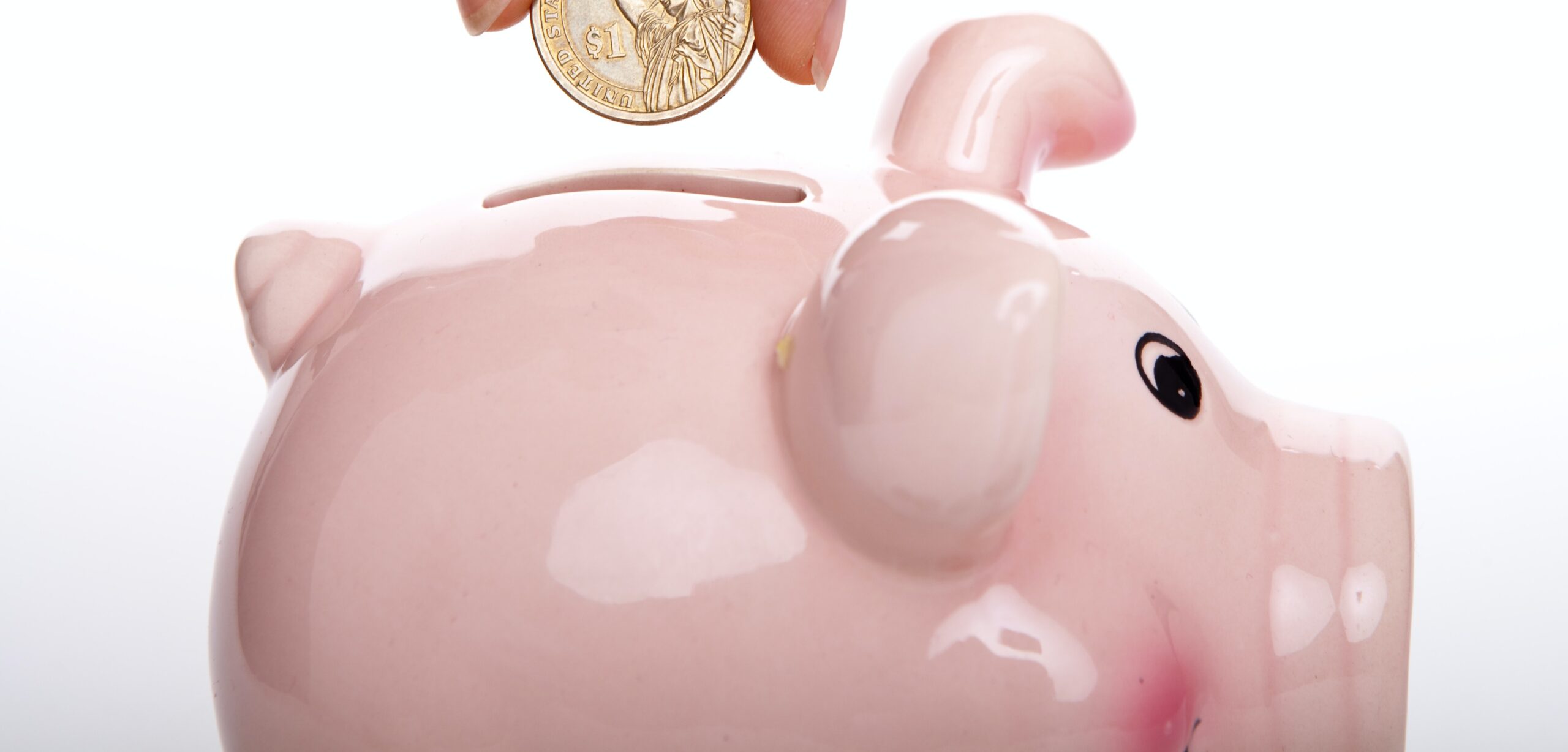 Person putting a coin in a pink piggy bank